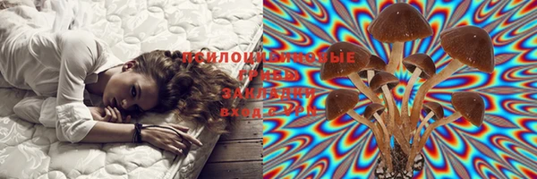 mdma Карпинск